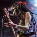 Click to enlarge GutterPunk - Professional Concert Photography